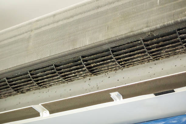 Best Air Duct Cleaning Near Me  in La Mesa, CA